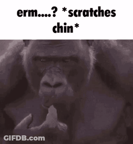 Gorilla Eating Banana Erm Scratches Chin GIF