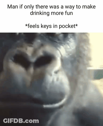 Gorilla Face Saying Man If Only There Was A Way To Make Drinking More Fun GIF