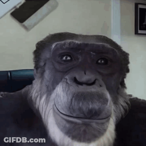 Gorilla Face With Beard GIF