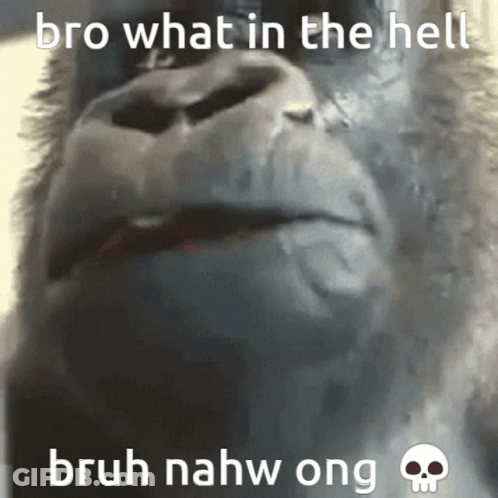 Gorilla Face With Bro What Words GIF