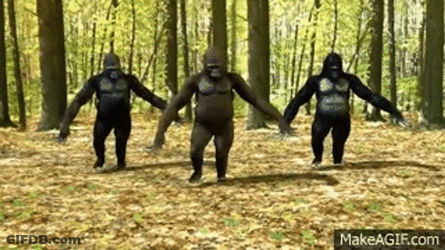 Gorilla Funny Dance GIF
