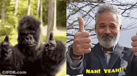 Gorilla Giving Thumbs Up Next To Bearded Man GIF