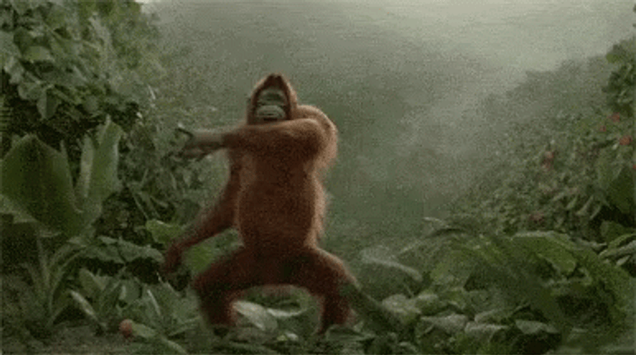 Gorilla Groovy Monkey Dance GIF
