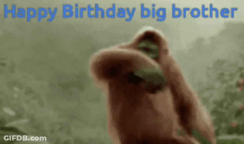 Gorilla Happy Birthday Bro GIF
