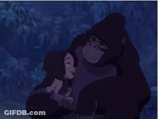 Gorilla Holding Baby GIF