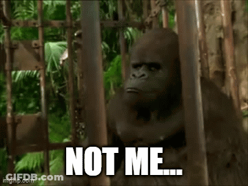 Gorilla In Cage Saying Not Me GIF