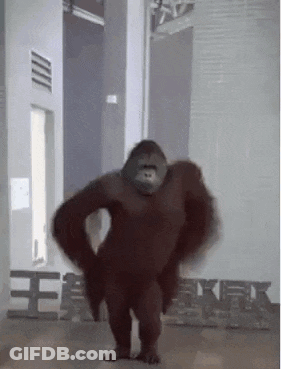 Gorilla In Front Of King Kong Sign GIF