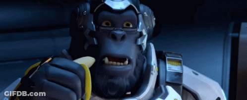 Gorilla In Helmet And Glasses Eating Banana GIF
