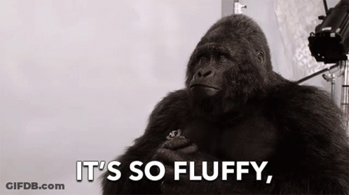 Gorilla It's So Fluffy GIF