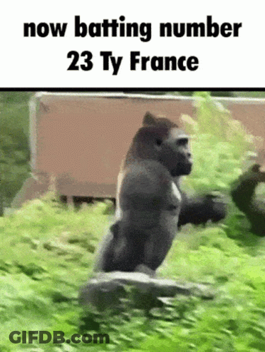 Gorilla Running Through Grassy Field Now Batting Number 23 Ty France GIF