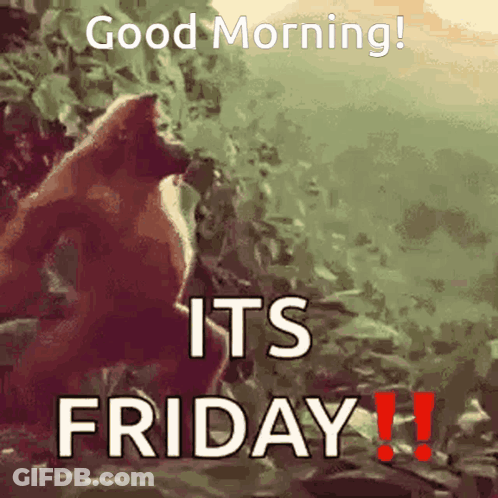 Gorilla Saying Good Morning Its Friday GIF