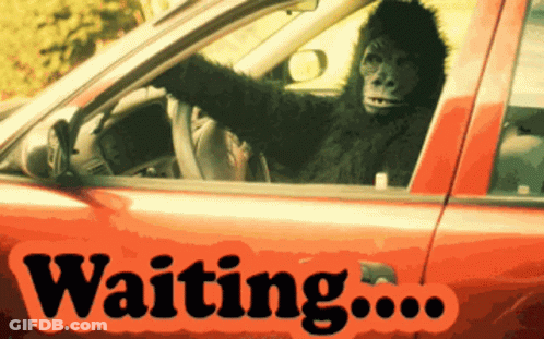 Gorilla Sitting In Red Car Saying Waiting GIF