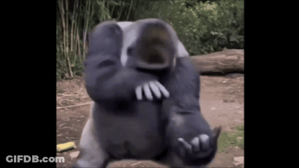 Gorilla Standing In Dirt With Hands On Face GIF
