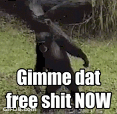 Gorilla Standing In Grassy Field Saying Gimme Dat Free Shit Now GIF