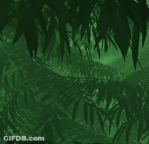 Gorilla Standing In Jungle GIF