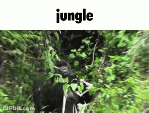 Gorilla Standing In Jungle With Word Jungle GIF