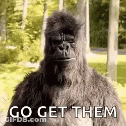 Gorilla Standing In Woods Go Get Them GIF