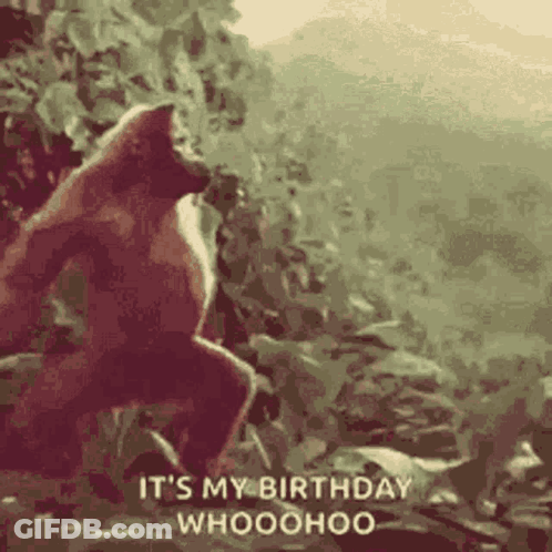 Gorilla Standing In Woods Saying It's My Birthday Whooohoo GIF