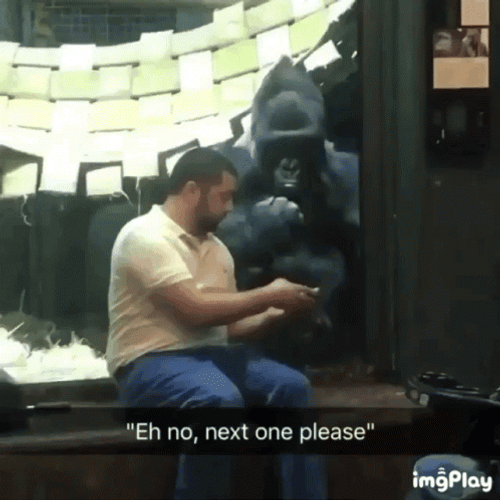 Gorilla Swiping Phone Swiper No Swiping GIF