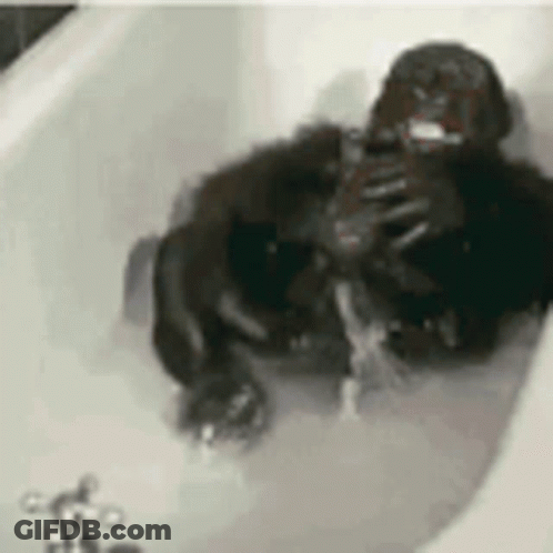 Gorilla Taking A Bath With Foam GIF