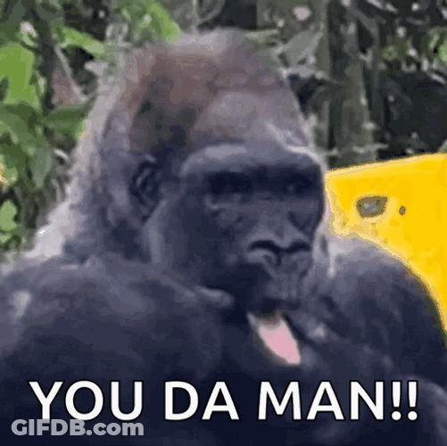 Gorilla The Man GIF