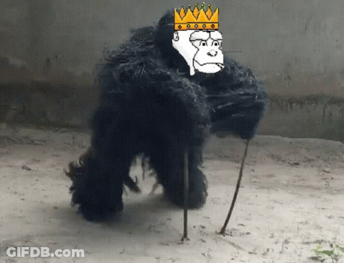 Gorilla Wearing Crown GIF