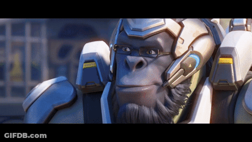 Gorilla Wearing Glasses And Helmet With Warning Sign GIF