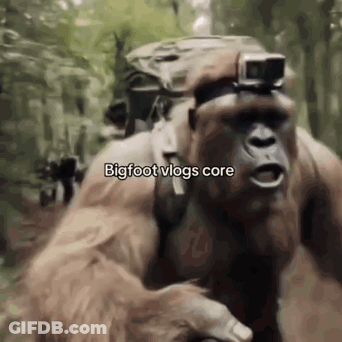 Gorilla Wearing Goggles And Backpack GIF
