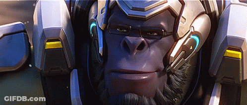 Gorilla Wearing Helmet GIF