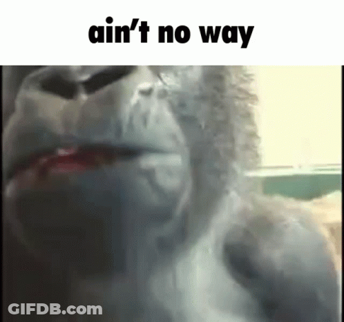 Gorilla With Ain't No Way Text GIF