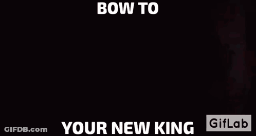 Gorilla With Bow To Your New King GIF