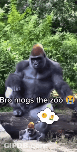 Gorilla With Bro Mogs Thought Bubble GIF