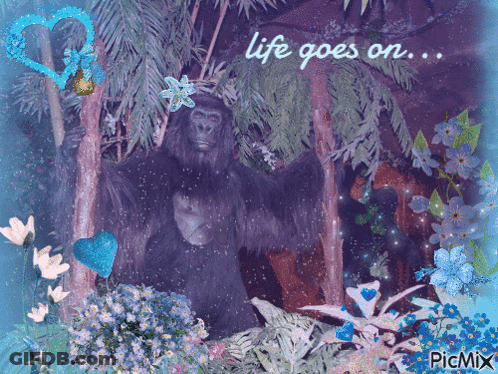 Gorilla With Flowers Saying Life Goes On GIF