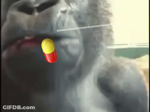 Gorilla With Red And Yellow Pill In Mouth GIF