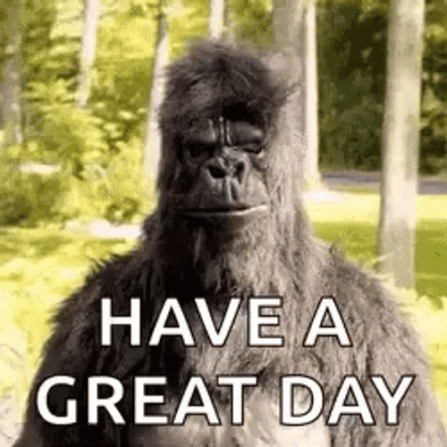 Gorilla Yes Have An Awesome Day Greeting GIF