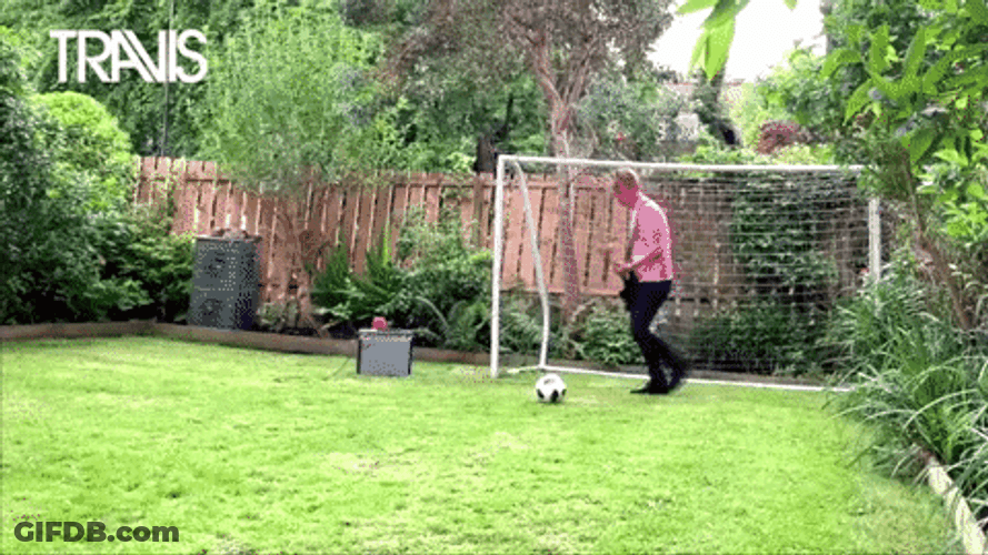 Got Hit By A Ball Concussion GIF