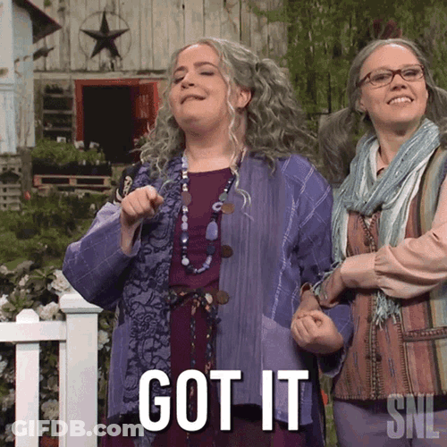 Got It Aidy Bryant GIF