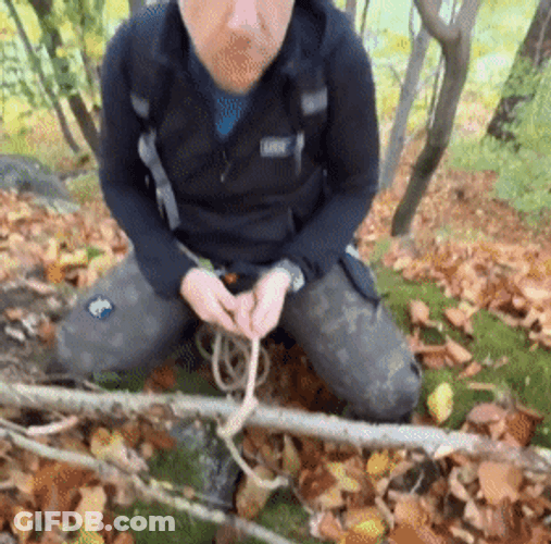 Got To Clean The Bush GIF