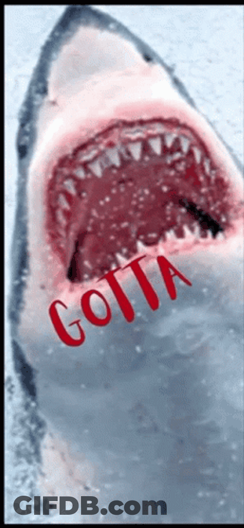 Got To Love Shark Week GIF