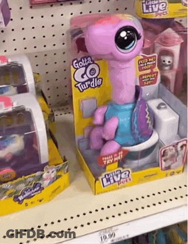 Gotta Go Turtle Toy On Shelf GIF