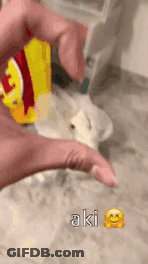 Gottem Hand Sign GIF