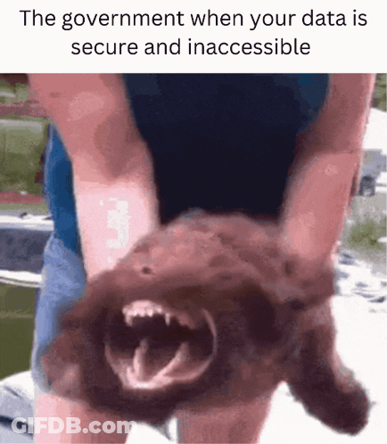 Government When Your Data Secure And Inaccessible GIF