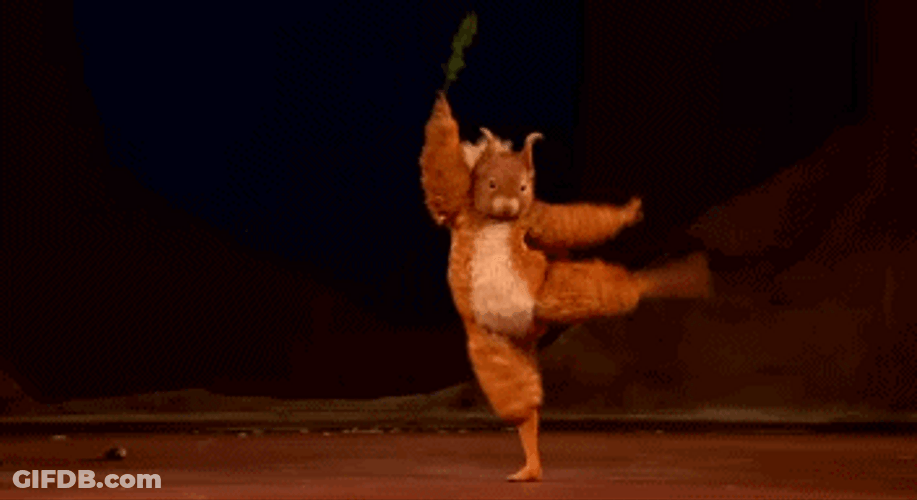 Graceful Ballet Dancer Dancing Squirrel GIF