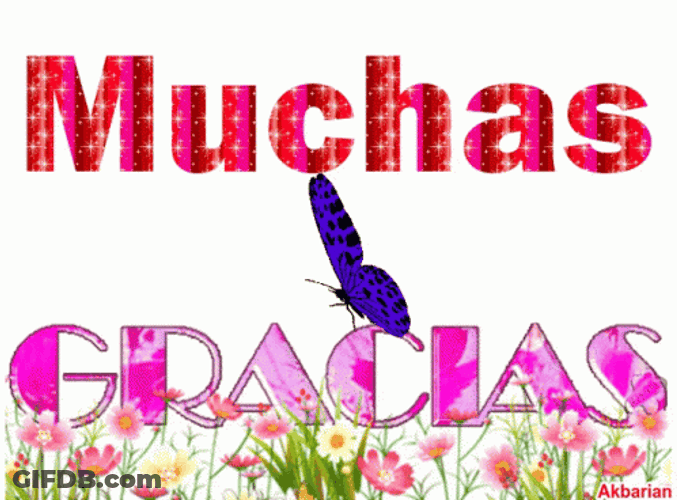 Gracias Animado GIF