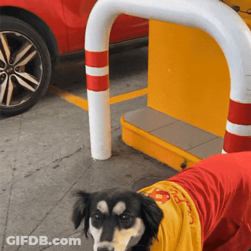 Gracias Lsm GIF