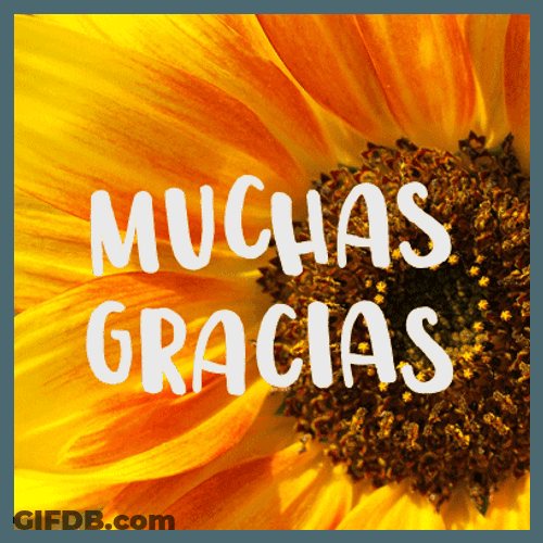 Gracias Lsm GIF