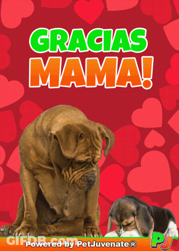 Gracias Mama Poster With Dog GIF