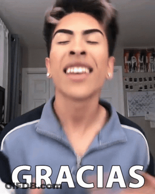 Gracias Meme GIF