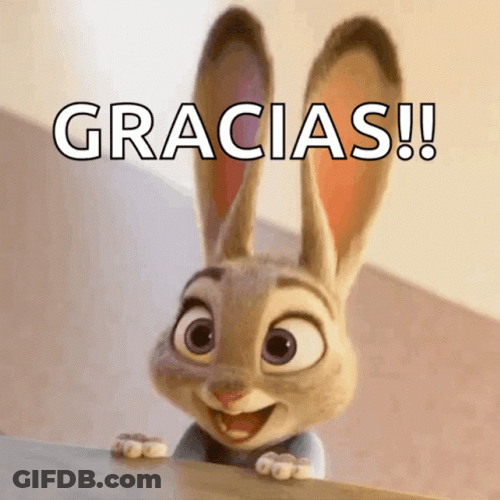 Gracias Meme GIF