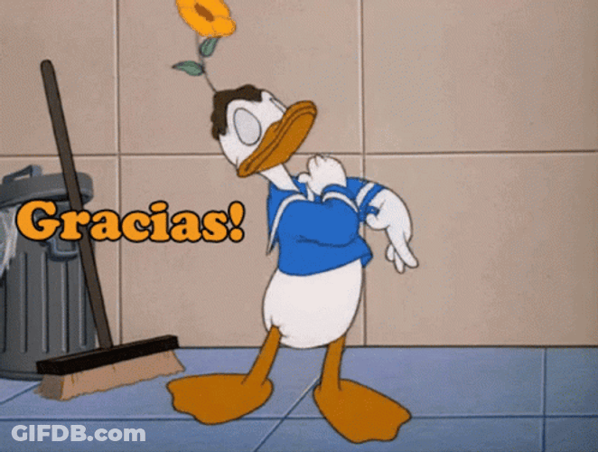 Gracias Meme GIF